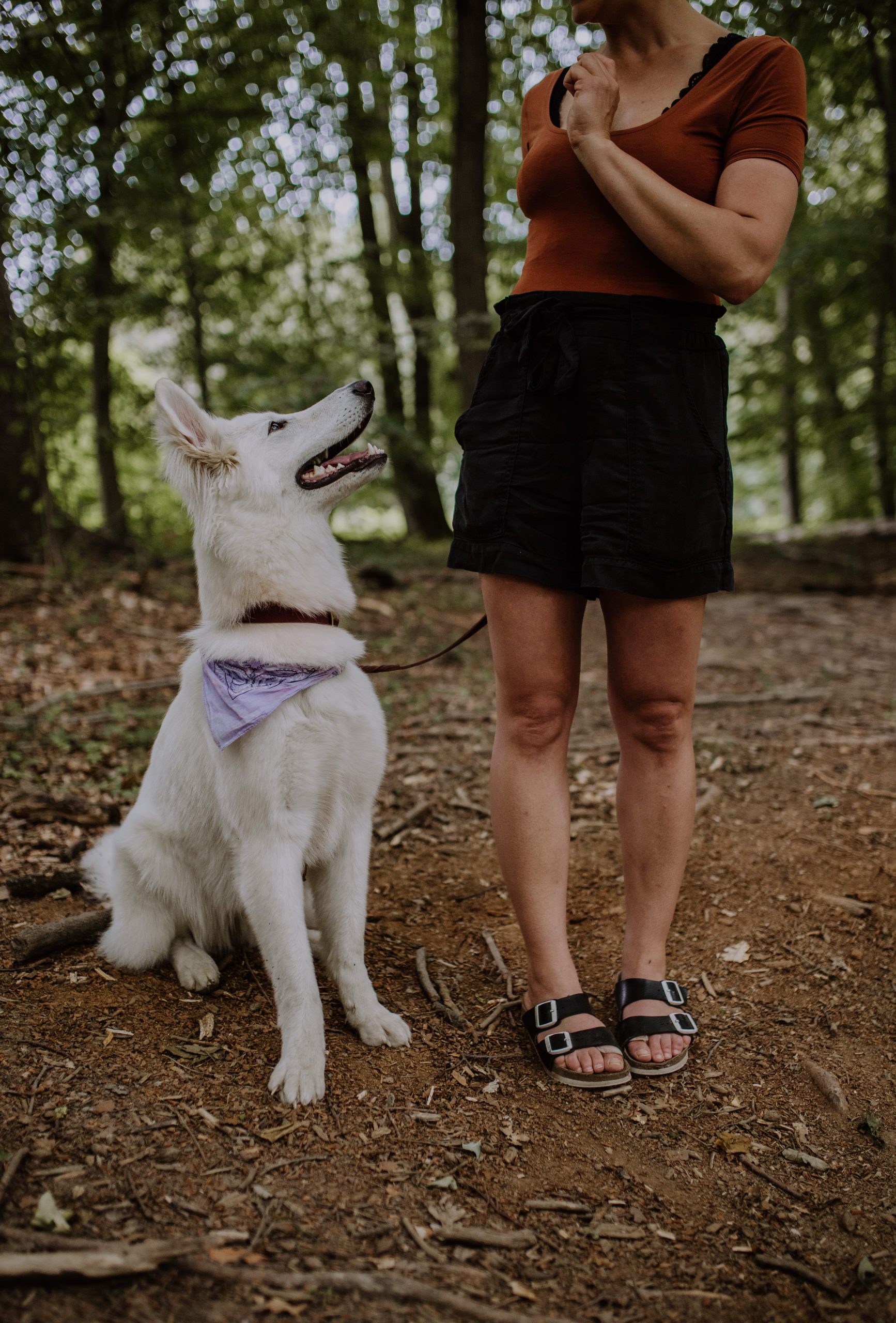 Hundetraining modern, dynamisch und kommunikativ.